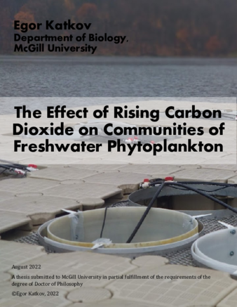 The effect of rising carbon dioxide on communities of freshwater phytoplankton thumbnail