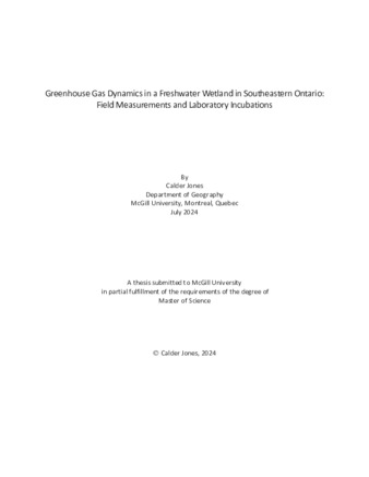 Greenhouse gas dynamics in a freshwater wetland in southeastern Ontario: Field measurements and laboratory incubations thumbnail