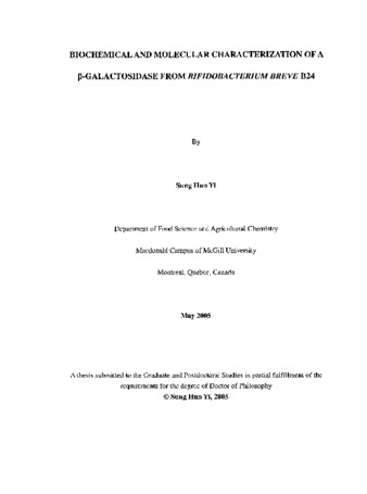 Biochemical and molecular characterization of a [beta]-galactosidase from Bifidobacterium breve B24 thumbnail