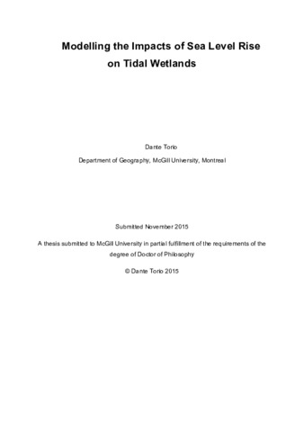 Modelling the impacts of sea level rise on tidal wetlands thumbnail