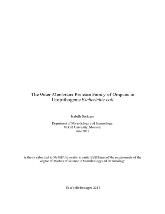 The outer-membrane protease family of omptins in Uropathogenic «Escherichia coli» thumbnail