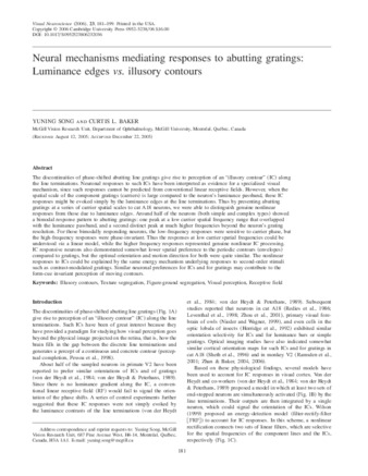 Neural mechanisms mediating responses to abutting gratings: Luminance edges vs. illusory contours thumbnail