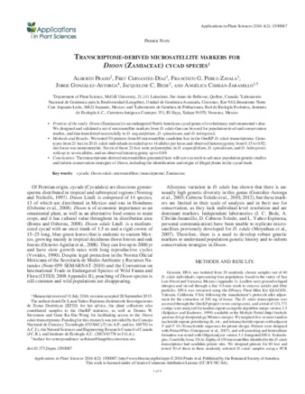 Transcriptome-derived microsatellite markers for Dioon (Zamiaceae) cycad species thumbnail