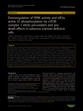 Downregulation of PERK activity and eIF2α serine 51 phosphorylation by mTOR complex 1 elicits pro-oxidant and pro-death effects in tuberous sclerosis-deficient cells thumbnail
