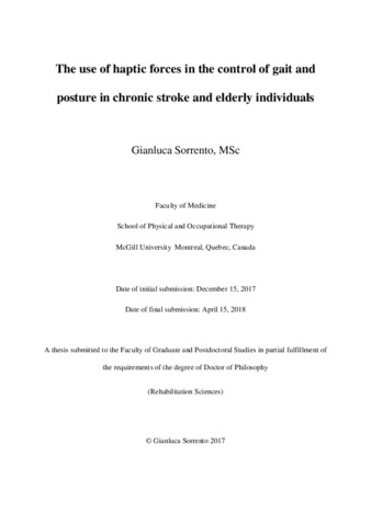 The use of haptic forces in the control of gait and posture in chronic stroke and elderly individuals thumbnail