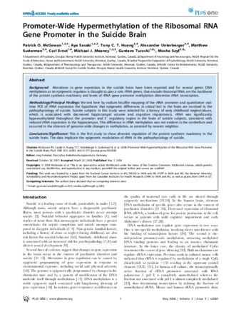 Promoter-Wide Hypermethylation of the Ribosomal RNA Gene Promoter in the Suicide Brain thumbnail