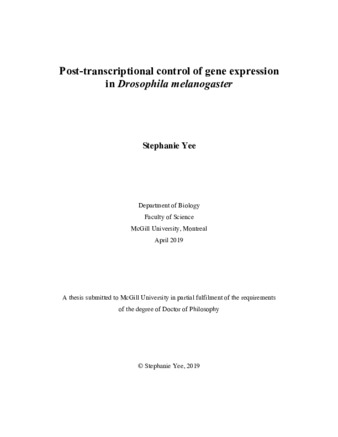 Post-transcriptional control of gene expression in «Drosophila melanogaster» thumbnail