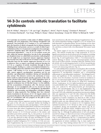 14-3-3σ controls mitotic translation to facilitate cytokinesis thumbnail