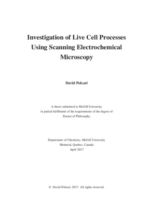 Investigation of live cell processes using scanning electrochemical microscopy thumbnail