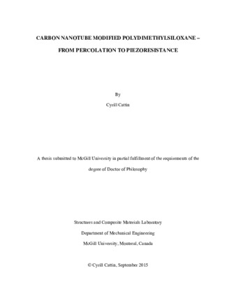Carbon nanotube modified polydimethylsiloxane from percolation to piezoresistance thumbnail