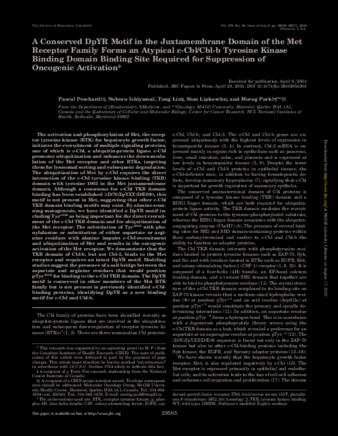 A Conserved DpYR Motif in the Juxtamembrane Domain of the Met Receptor Family Forms an Atypical c-Cbl/Cbl-b Tyrosine Kinase Binding Domain Binding Site Required for Suppression of Oncogenic Activation thumbnail