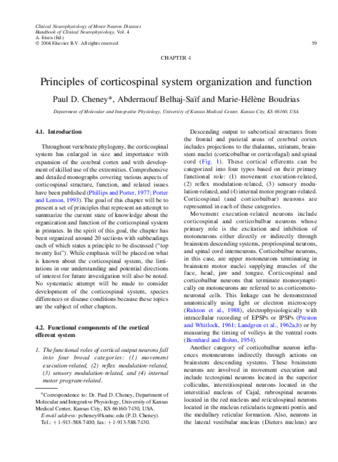 International expert recommendations of clinical features to prompt referral for diagnostic assessment of cerebral palsy thumbnail