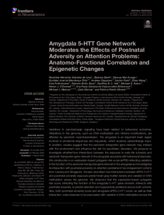 Amygdala 5-HTT Gene Network Moderates the Effects of Postnatal Adversity on Attention Problems: Anatomo-Functional Correlation and Epigenetic Changes thumbnail