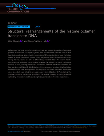 Structural rearrangements of the histone octamer translocate DNA thumbnail