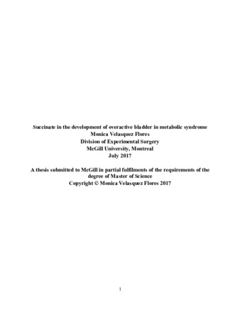 Succinate in the development of overactive bladder in metabolic syndrome thumbnail
