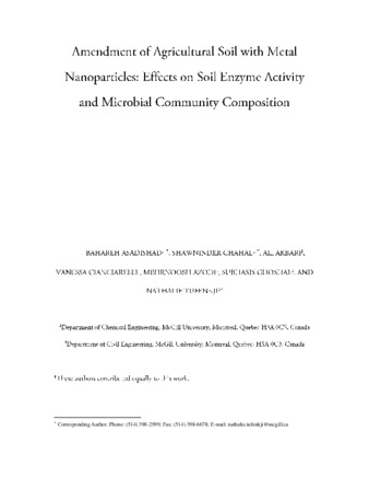 Amendment of Agricultural Soil with Metal Nanoparticles: Effects on Soil Enzyme Activity and Microbial Community Composition thumbnail