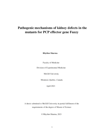 Pathogenic mechanisms of kidney defects in the mutants for PCP effector gene Fuzzy thumbnail