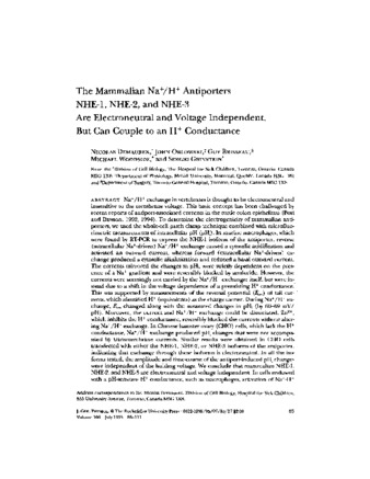 The mammalian Na+/H+ antiporters NHE-1, NHE-2, and NHE-3 are electroneutral and voltage-independent but can couple to a H+ conductance thumbnail