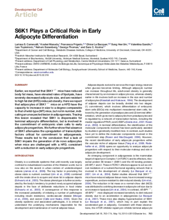 S6K1 Plays a Critical Role in Early Adipocyte Differentiation thumbnail