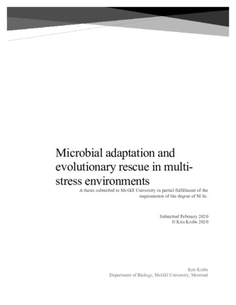 Microbial adaptation and evolutionary rescue in multi- stress environments thumbnail