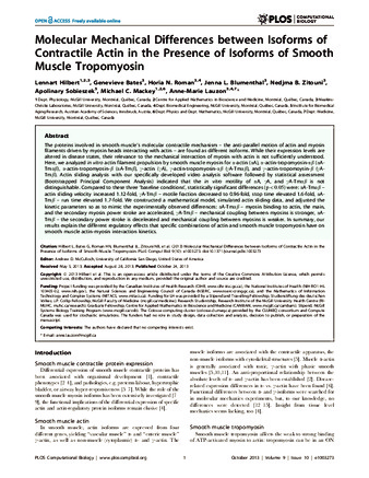 Molecular Mechanical Differences between Isoforms of Contractile Actin in the Presence of Isoforms of Smooth Muscle Tropomyosin thumbnail