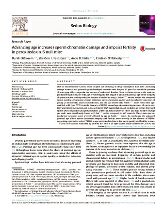 Advancing age increases sperm chromatin damage and impairs fertility in peroxiredoxin 6 null mice thumbnail