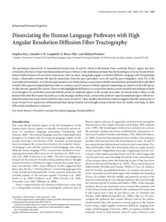 Dissociating the Human Language Pathways with High Angular Resolution Diffusion Fiber Tractography thumbnail