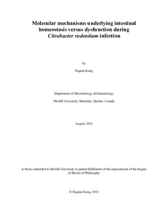 Molecular mechanisms underlying intestinal homeostasis versus dysfunction during citrobacter rodentium infection thumbnail