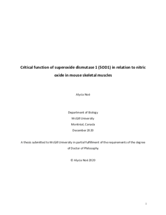 Critical function of superoxide dismutase 1 (SOD1) in relation to nitric oxide in mouse skeletal muscles thumbnail