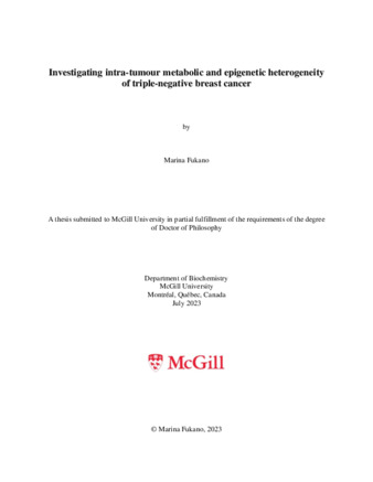 Investigating Intra-Tumour Metabolic and Epigenetic Heterogeneity of Triple-Negative Breast Cancer thumbnail