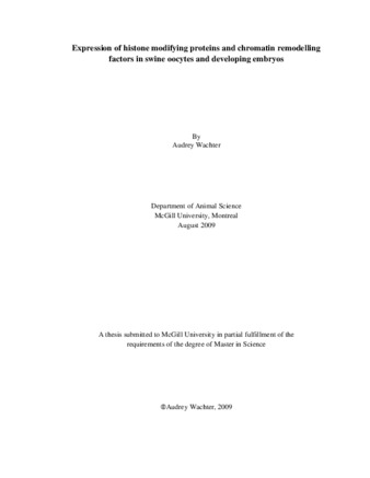 Expression of histone modifying proteins and chromatin remodelling factors in swine oocytes and developing embryos thumbnail