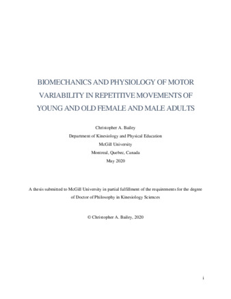 Biomechanics and physiology of motor variability in repetitive movements of young and old female and male adults thumbnail