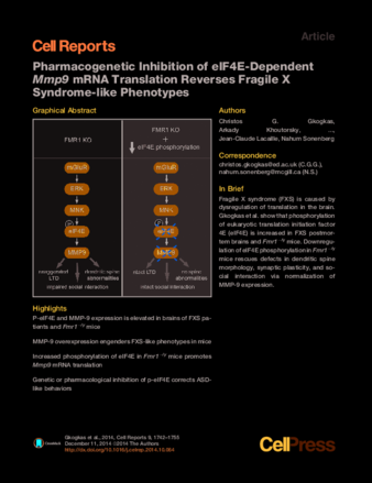 Pharmacogenetic Inhibition of eIF4E-Dependent Mmp9 mRNA Translation Reverses Fragile X Syndrome-like Phenotypes thumbnail