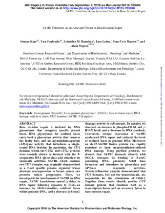 SATB1 Functions as an Accessory Factor in Base Excision Repair thumbnail