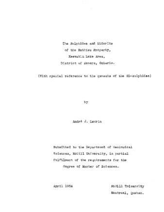 The sulphides and siderite of the Mathieu property, Keewatin Lake area, District of Kenora, Ontario. thumbnail