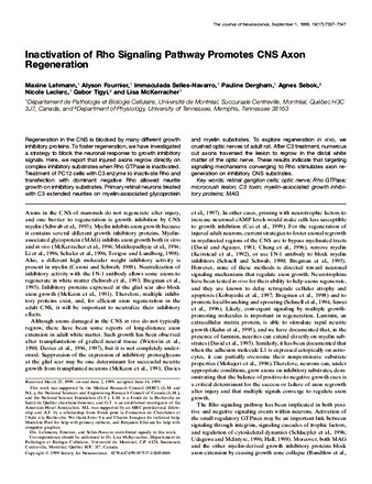 Inactivation of Rho signaling pathway promotes CNS axon regeneration thumbnail