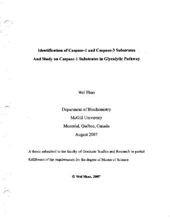 Identification of caspase-1 and caspase-3 substrates and study on caspase-1 substrates in glycolytic pathway thumbnail