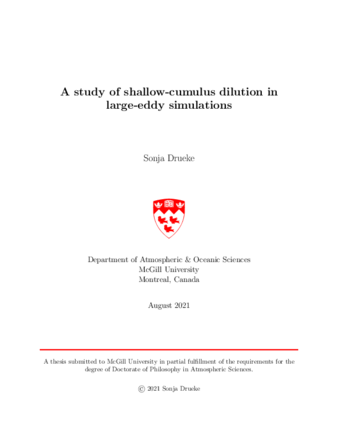 A study of shallow-cumulus dilution in large-eddy simulations thumbnail