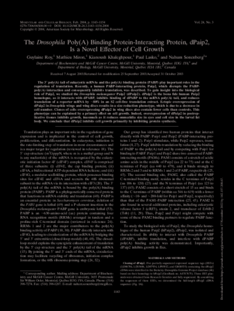 The Drosophila Poly(A) Binding Protein-Interacting Protein, dPaip2, Is a Novel Effector of Cell Growth thumbnail