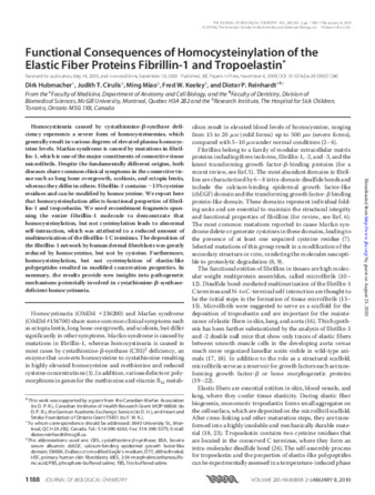 Functional consequences of homocysteinylation of the elastic fiber proteins fibrillin-1 and tropoelastin thumbnail