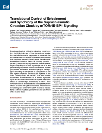 Translational Control of Entrainment and Synchrony of the Suprachiasmatic Circadian Clock by mTOR/4E-BP1 Signaling thumbnail