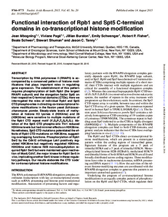 Functional interaction of Rpb1 and Spt5 C-terminal domains in co-transcriptional histone modification thumbnail