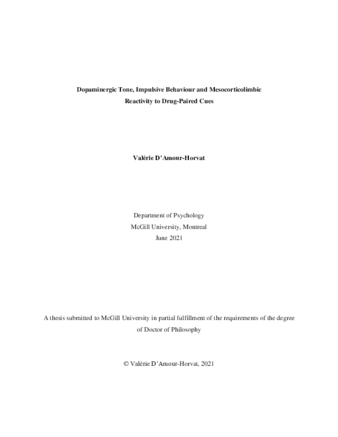 Dopaminergic tone, impulsive behaviour and mesocorticolimbic reactivity to drug-paired cues thumbnail