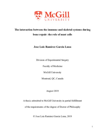 The interaction between the immune and skeletal systems during bone repair: the role of mast cells thumbnail