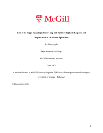 Role of the Hippo Signaling Effector Yap and Taz in Metaplastic Response and Regeneration of the Gastric Epithelium thumbnail