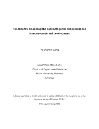 Functionally dissecting the spermatogonial subpopulations in mouse postnatal development thumbnail