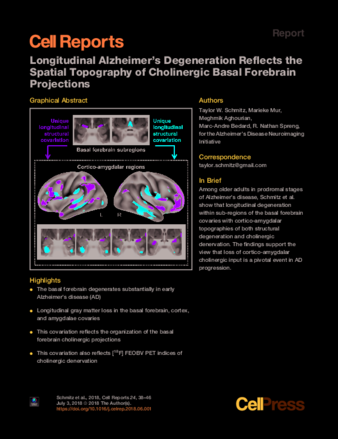 Longitudinal Alzheimer’s Degeneration Reflects the Spatial Topography of Cholinergic Basal Forebrain Projections thumbnail