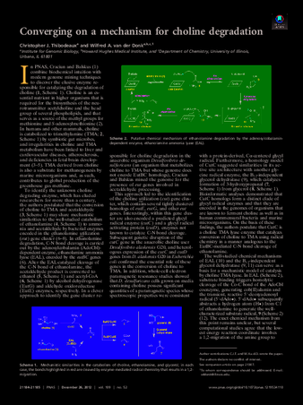 Converging on a mechanism for choline degradation thumbnail