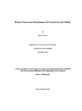 Human telomerase determinants of processivity and fidelity thumbnail