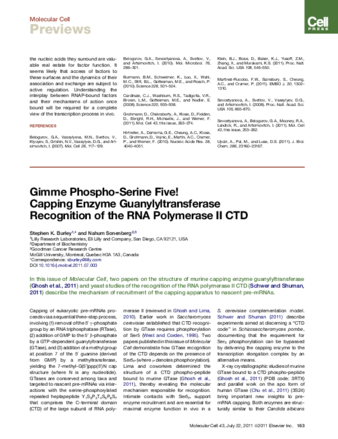 Gimme Phospho-Serine Five! Capping Enzyme Guanylyltransferase Recognition of the RNA Polymerase II CTD thumbnail